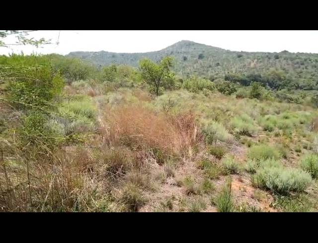21HA FARM FOR SALE IN MOOINOOI